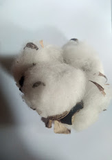 Annexe IMG_20200414_152833116.jpg