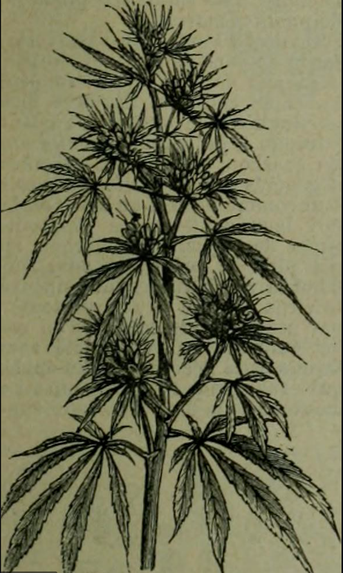 Annexe Capture décran 2020-04-14 18.54.40.png