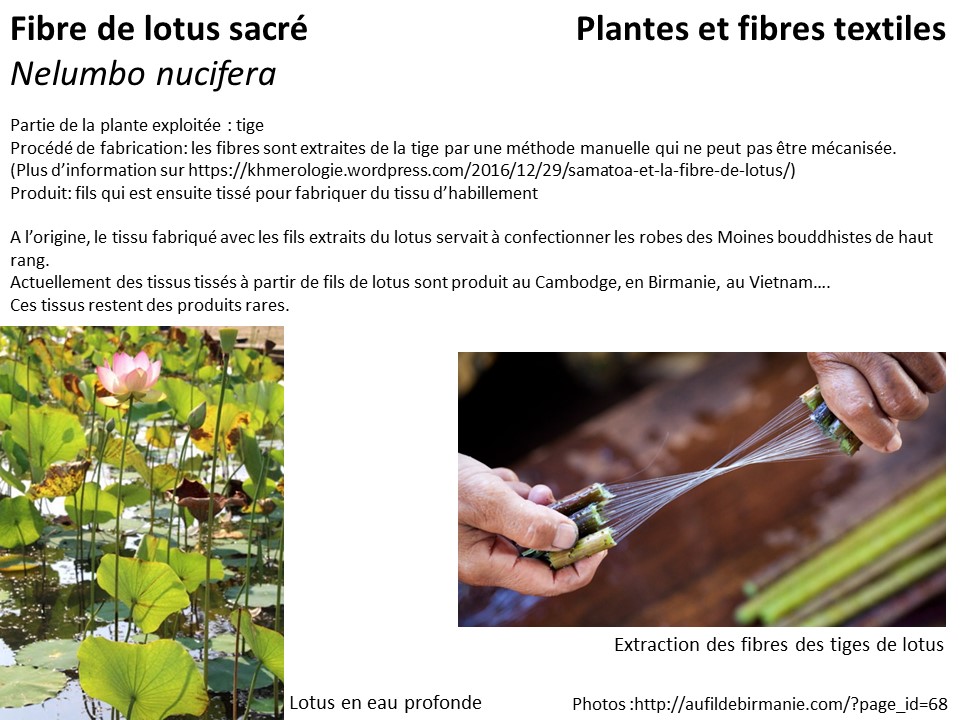 Annexe Activité semaine 3 fibres textiles.jpg