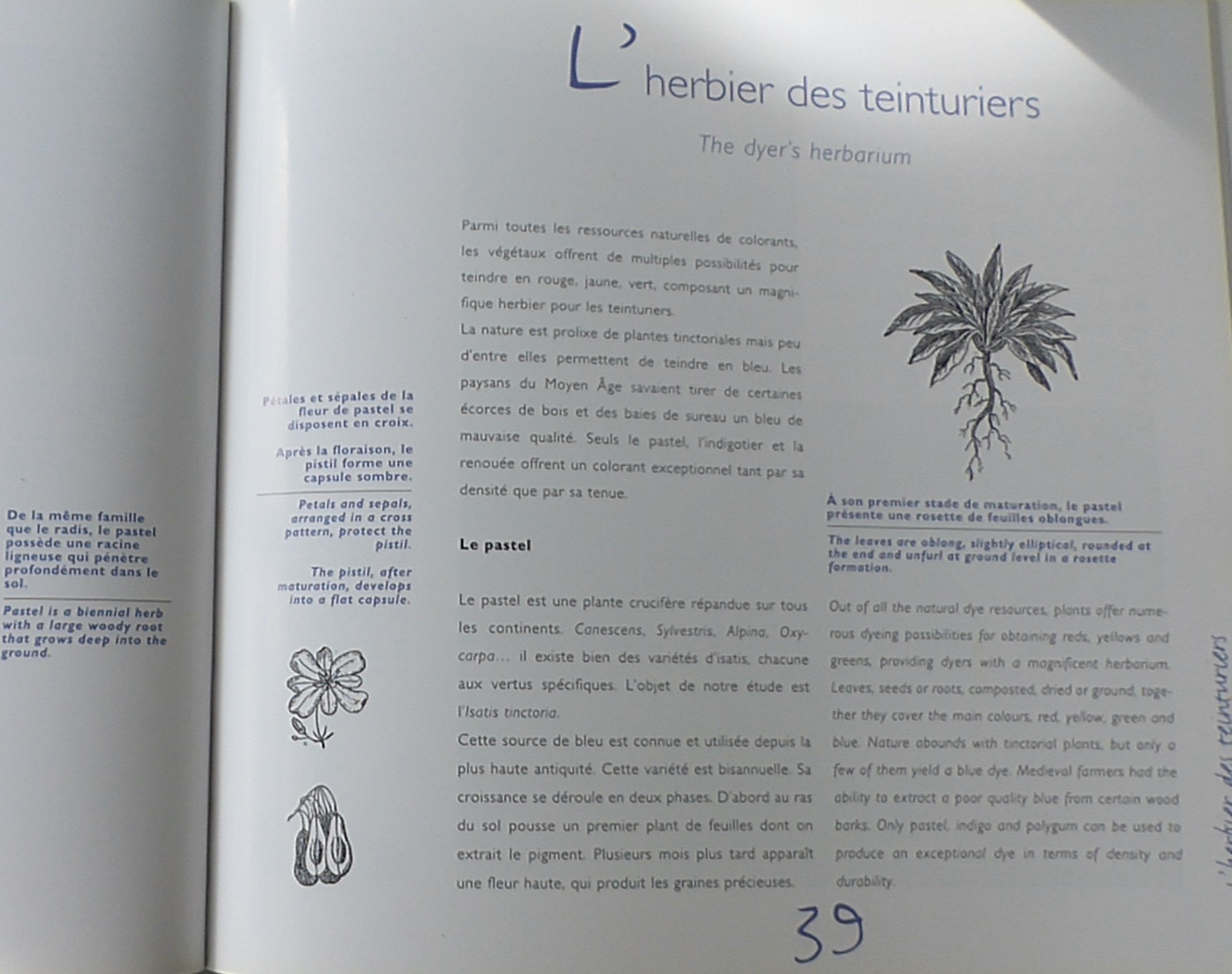 Annexe P1070265 (2).JPG