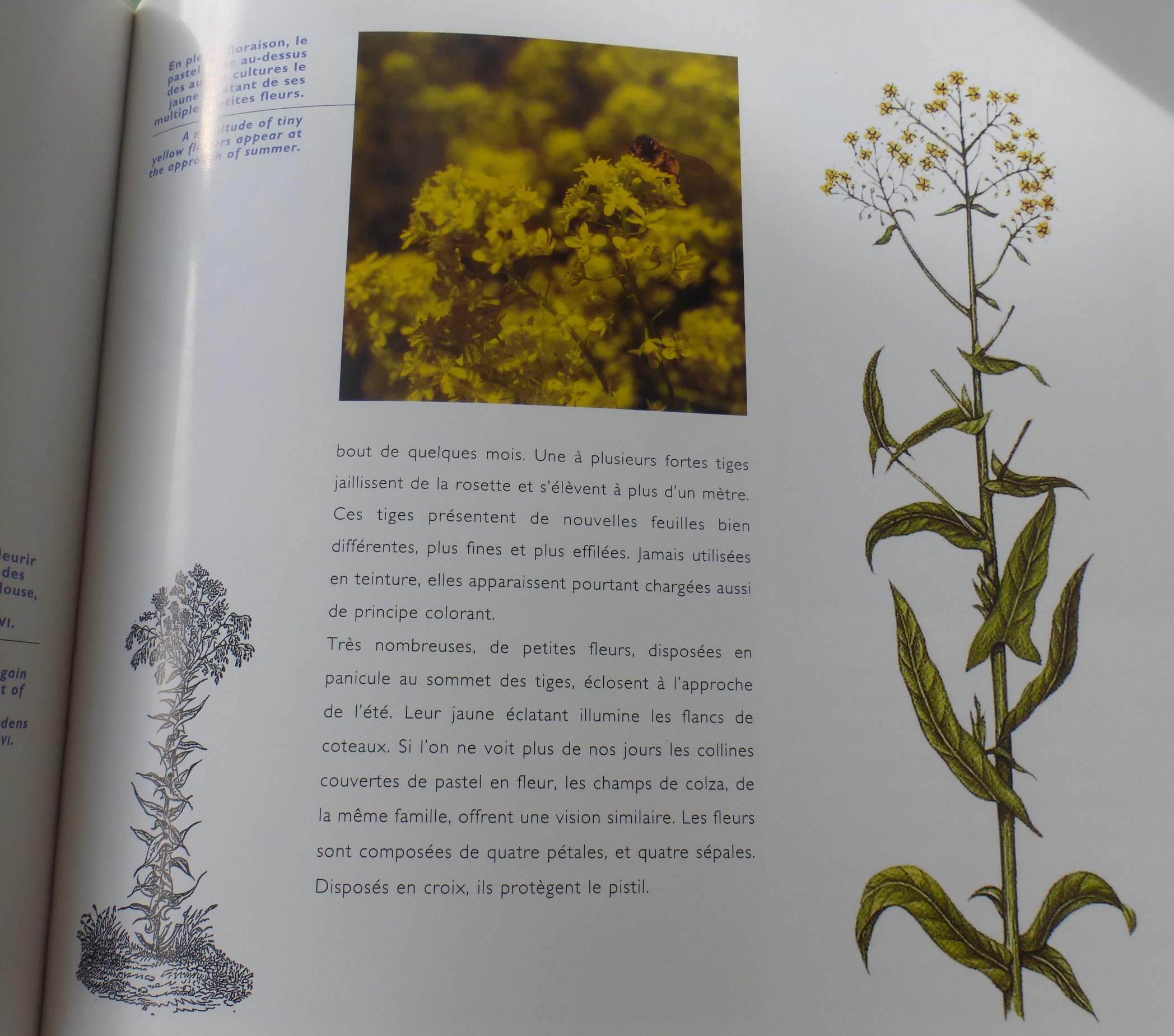 Annexe P1070267 (3).JPG