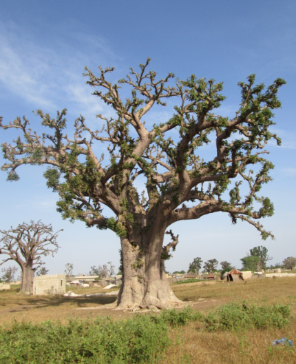 Annexe Sans titre.png