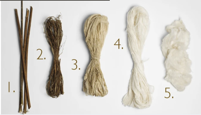 Annexe etapes de traitement de la fibre de ramie.PNG