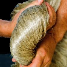 Annexe Fibres de lin (Source wikipédia).jpg