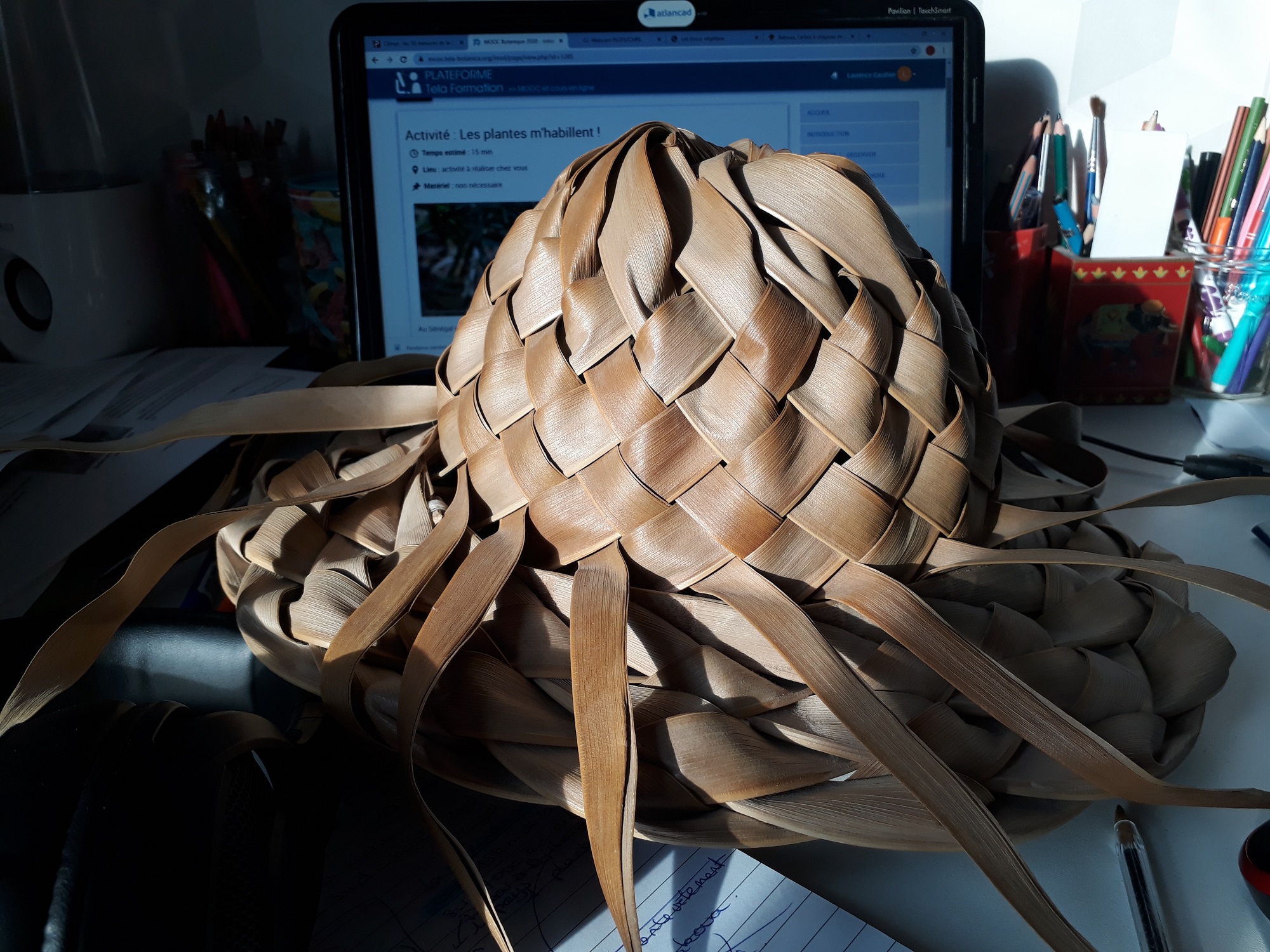 Annexe 20200420_190147.jpg