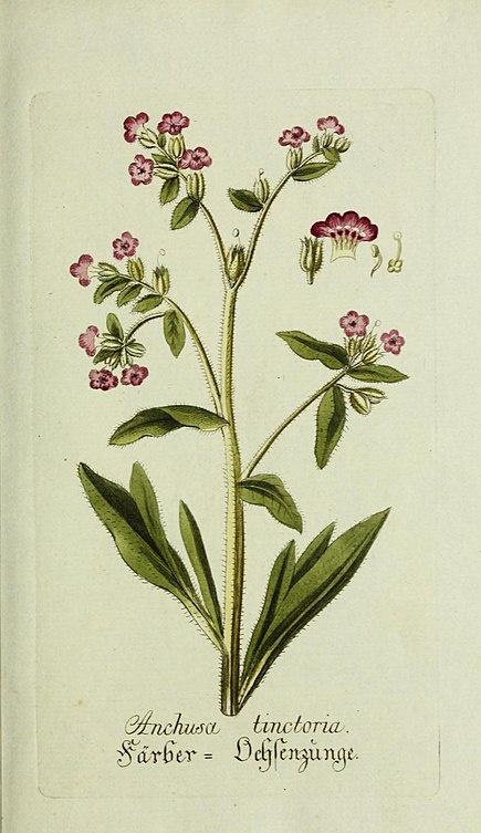 Annexe 435px-thumbnail.jpg