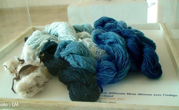 Annexe 186800b3a2f396e8b8c0dff7eac55a.jpg