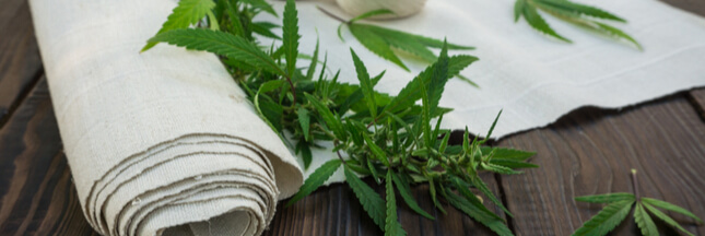 Annexe chanvre_shutterstock_482964883_ban[1].jpg