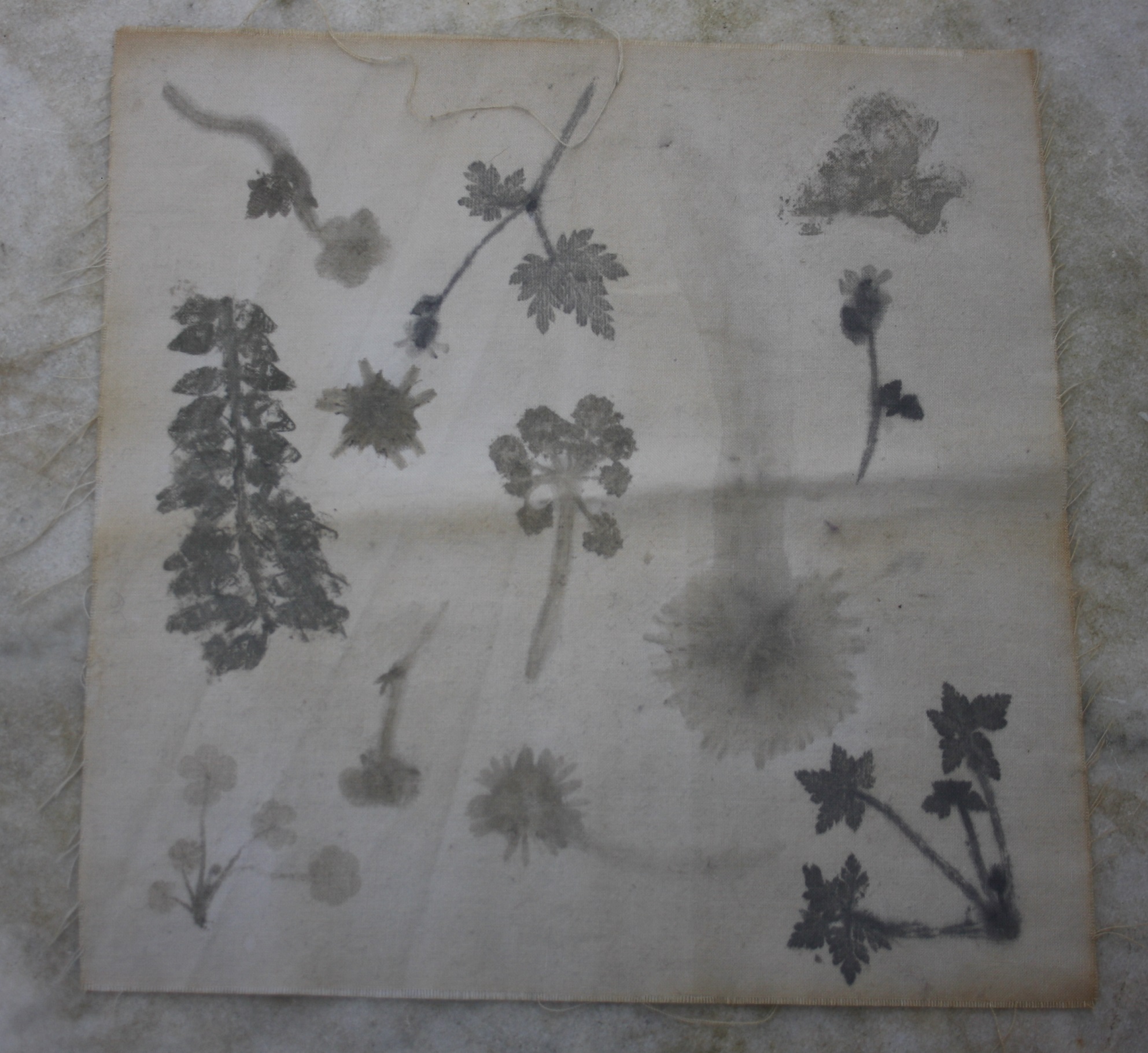 Annexe Tataki zome.JPG