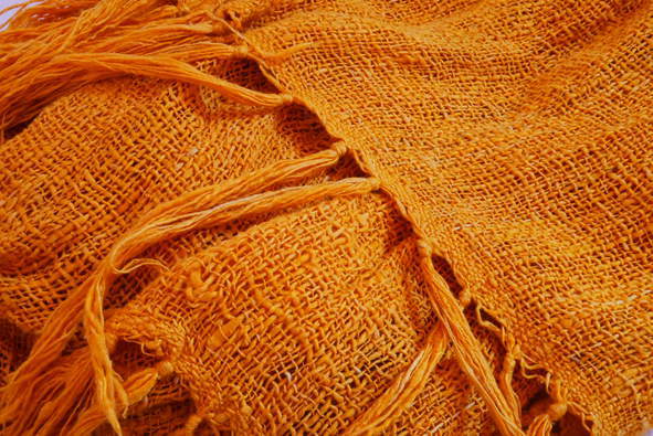 Annexe P1040894-ConvertImage.jpg