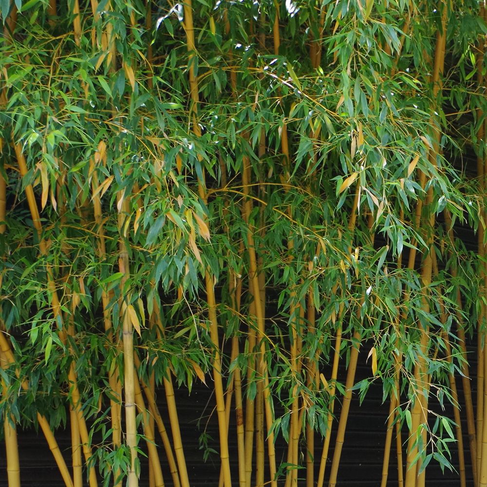 Annexe 2B34BE2B-C14E-4775-92B6-46FA04E1D2FB.jpeg