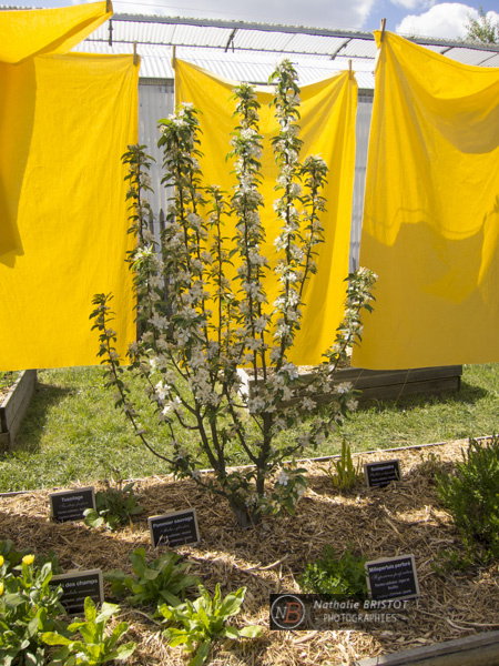 Annexe httpsnath2013couleurs.files.wordpress.com201304p12-001.jpg?w=660