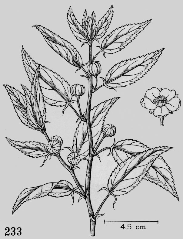 Annexe 02f0c1a1ad42f49ee63230af5aec2fd472397192.jpg