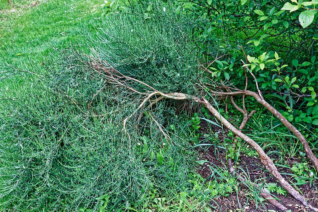 Annexe IMG_1290_DxO.jpg