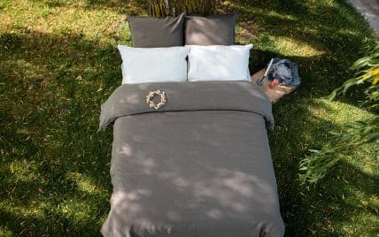 Annexe EMBRIN-6062-428x268.jpg