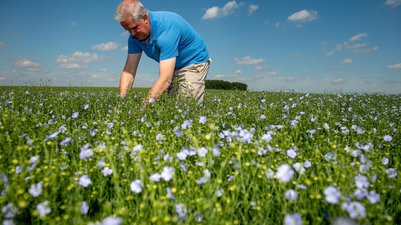 Annexe B9720029295Z.1_20190623102714_000+GDQDTGP0U.4-0.jpg