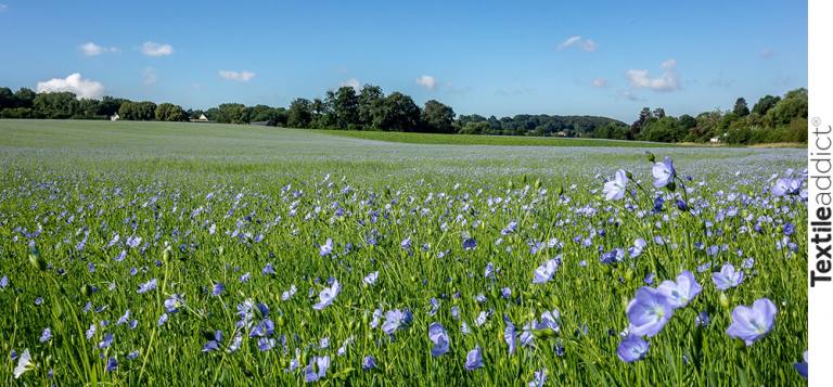 Annexe lin-textile_TextileAddict-768x357.jpg