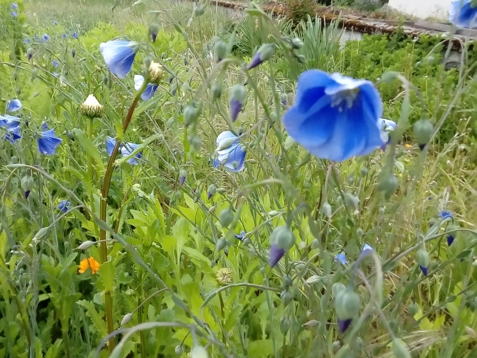 Annexe Photo editing_Cloud20200505.jpg