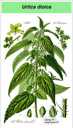 Annexe Capture d’écran 2020-05-05 à 10.51.23.jpg