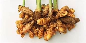 curcuma