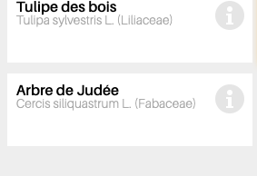 Annexe noms en gris clair