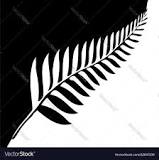 Annexe téléchargement.jpg