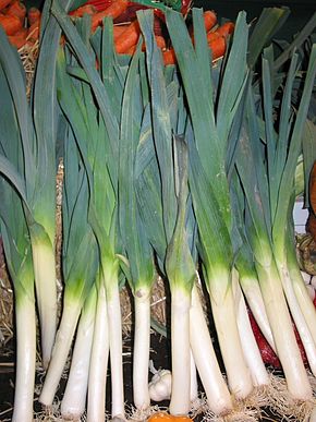 Annexe 290px-Poireaux.JPG