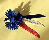 Annexe Bleuet_de_France_circa_1950.jpg