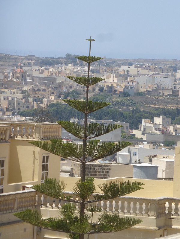 Annexe Malte 371.JPG