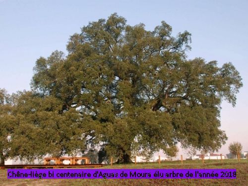 Annexe 3708348140.jpg