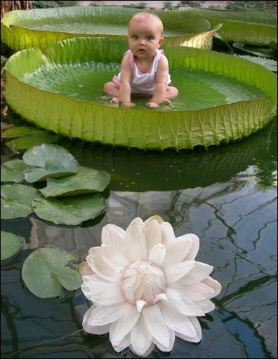 Annexe BF070DA4-60DD-4296-9E88-65AFB901F023.jpeg