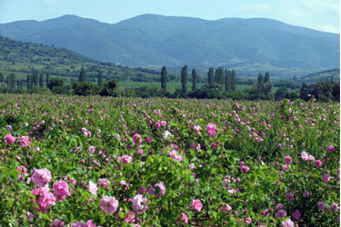 Annexe voyage-cheval-bulgarie-07.jpg