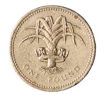 Annexe poireaupiece_monchval.com.jpg