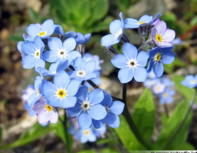 Annexe 20200416_180515.jpg