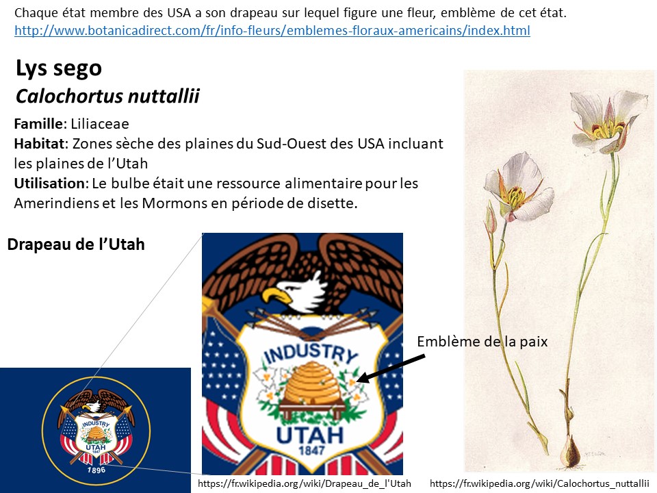 Annexe Activité semaine 4.jpg