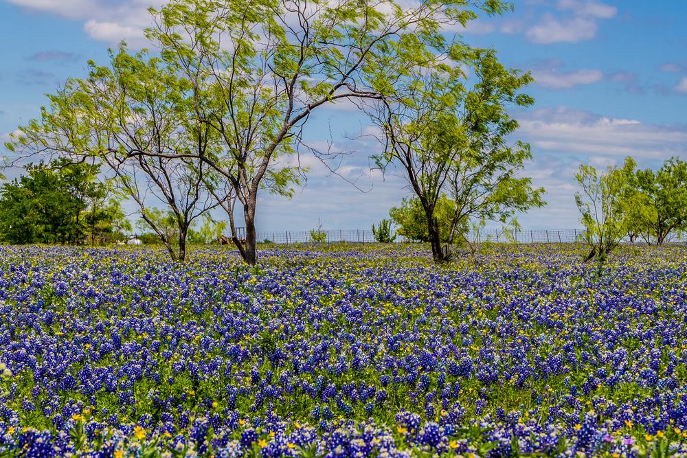 Annexe shutterstock_141036322.jpg