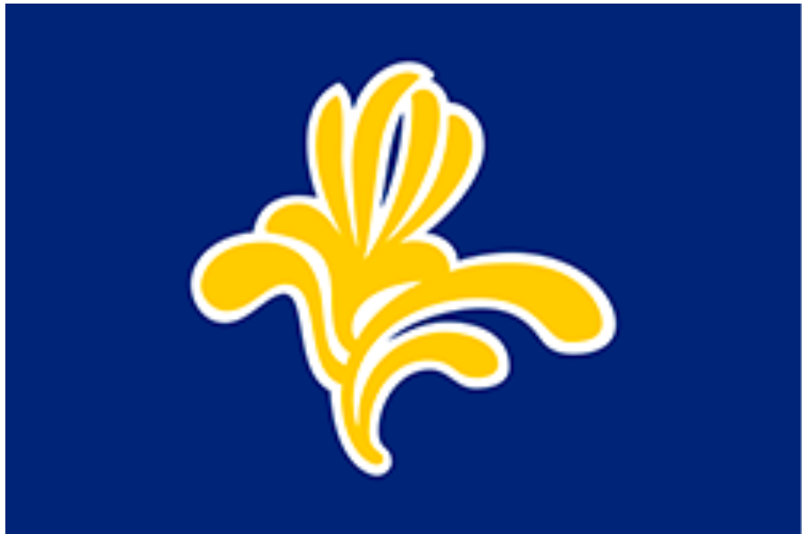 Annexe Capture décran 2020-04-17 17.51.24.png