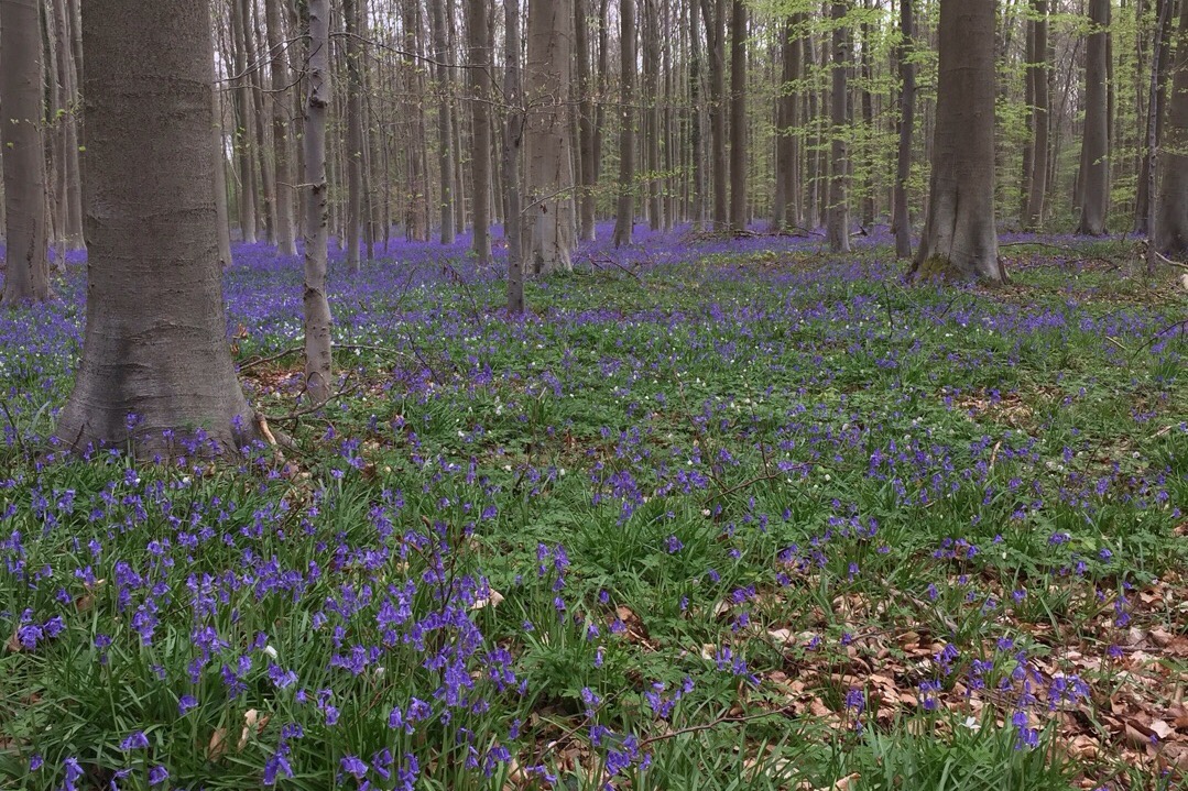 Annexe IMG_23576254.jpg