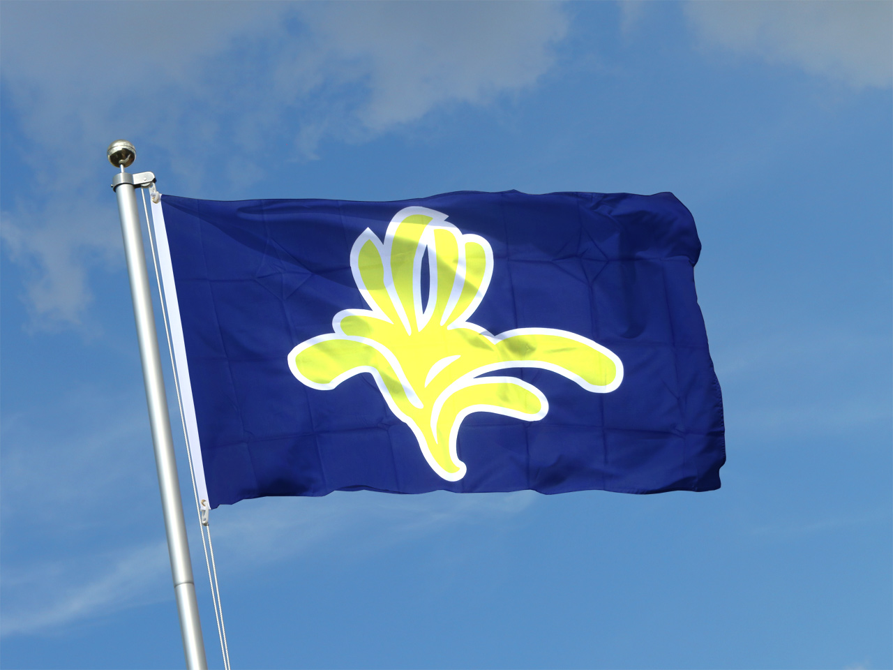 Annexe Drapeau RBC.jpg