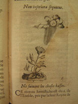 Annexe Devise héliotrope .jpg