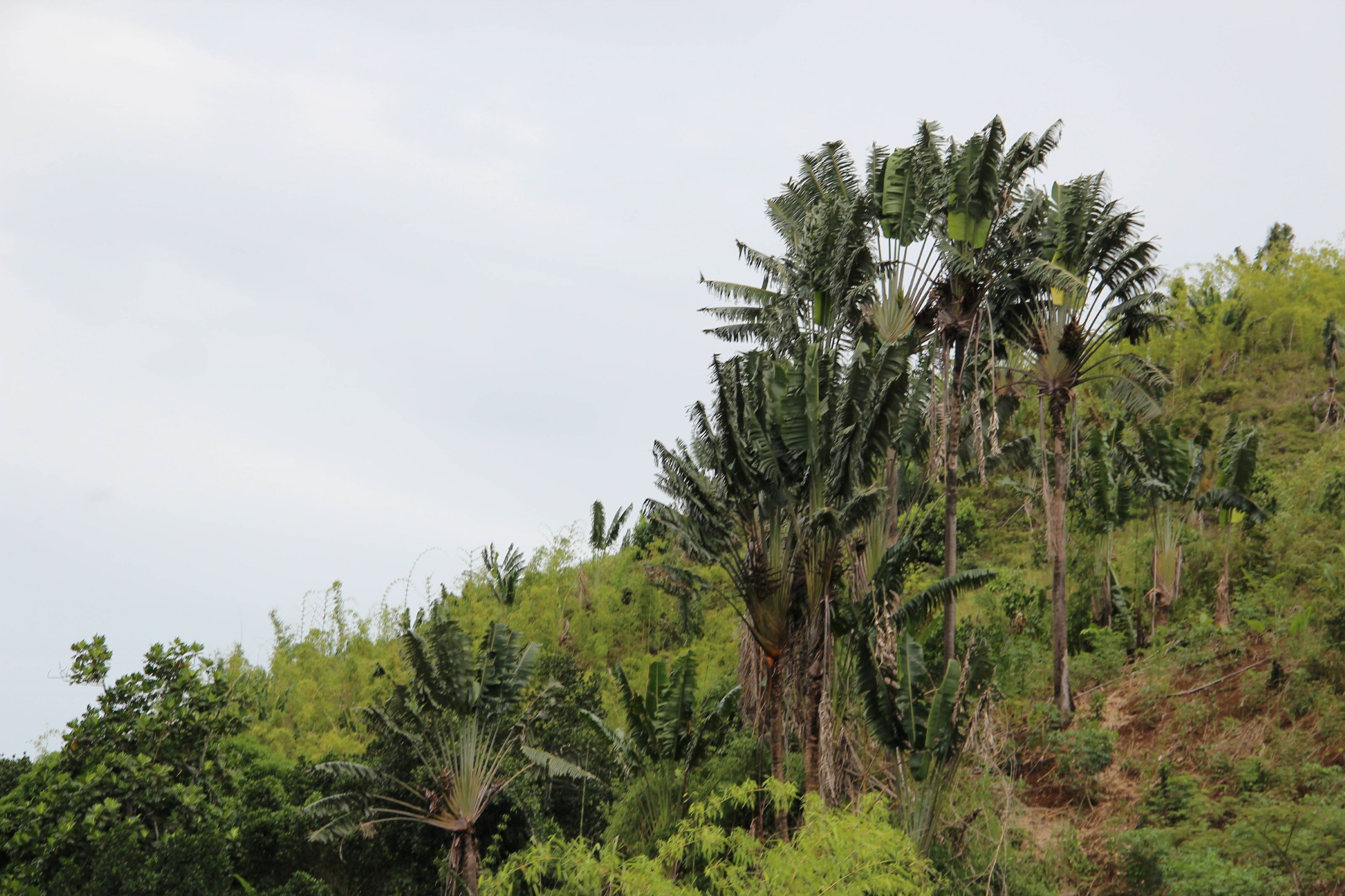 Annexe IMG_1881-2.JPG