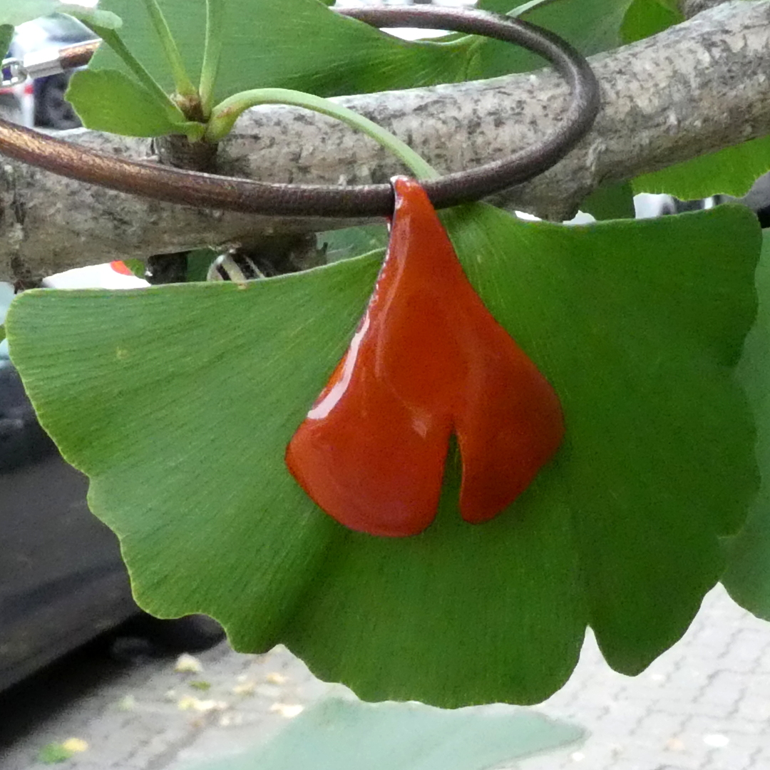 Annexe 1ERE FEUILLE COMPARE AU VRAI R05-190926 009_1080.JPG