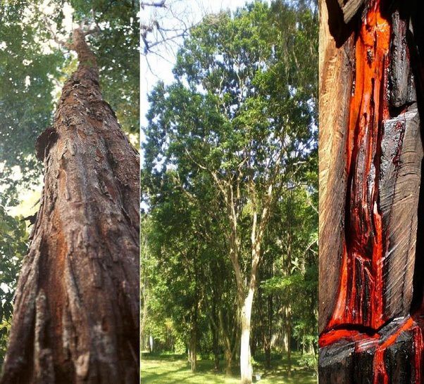 Annexe ob_5ae179_main-qimg-dfa88f495f488128949d2eb5752f.jpg