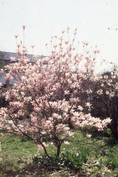 Annexe img_002338528L.jpg