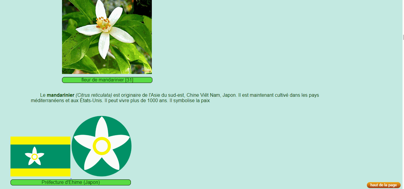Annexe Mandarinier.gif