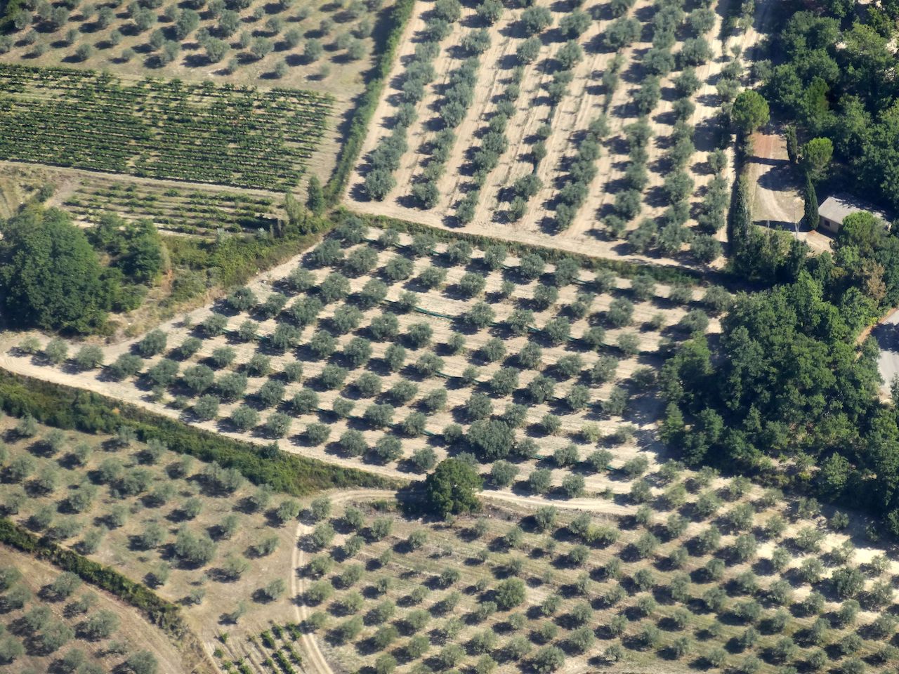 Annexe champsoliviersnyons.jpg