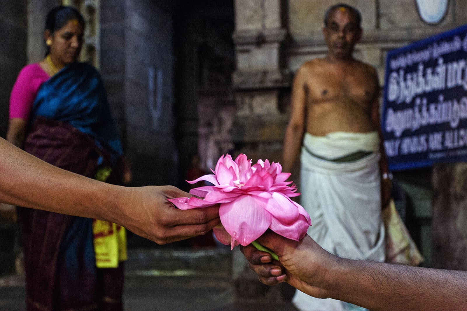 Annexe travel_people_india_flower_tourism_temple_asia_lotus-1111208.jpg!d