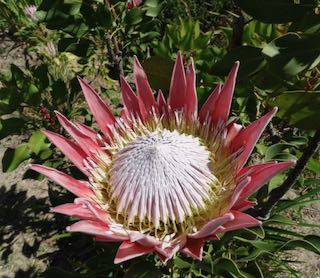 Annexe Screenshot 2020-04-24 at 16.53.02.jpeg