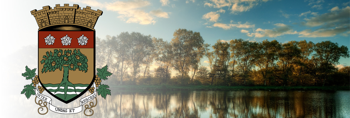Annexe cadre-de-vie-blason-1180x400.jpg