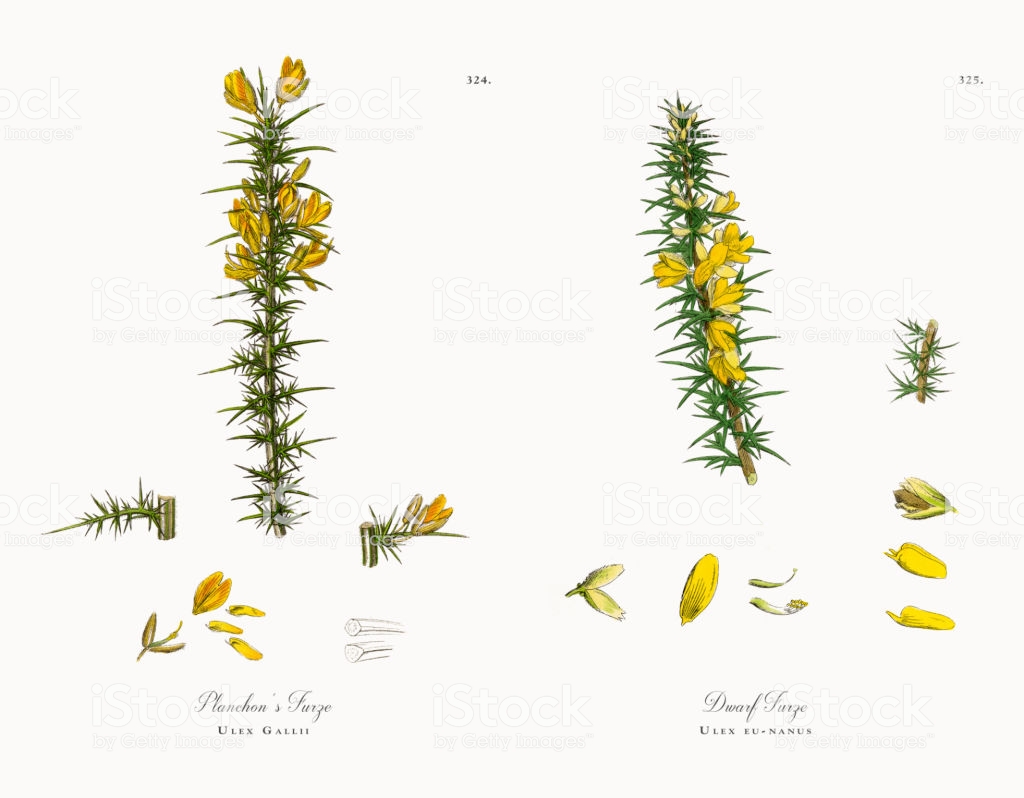 Annexe istockphoto-897661332-1024x1024.jpg